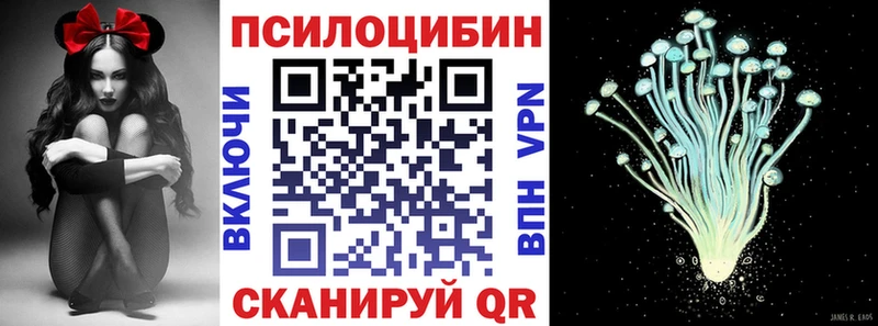 Купить  Партизанск  Псилоцибиновые грибы мицелий 